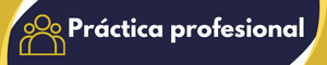 Práctica profesional