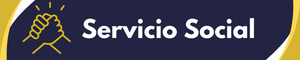 Servicio social